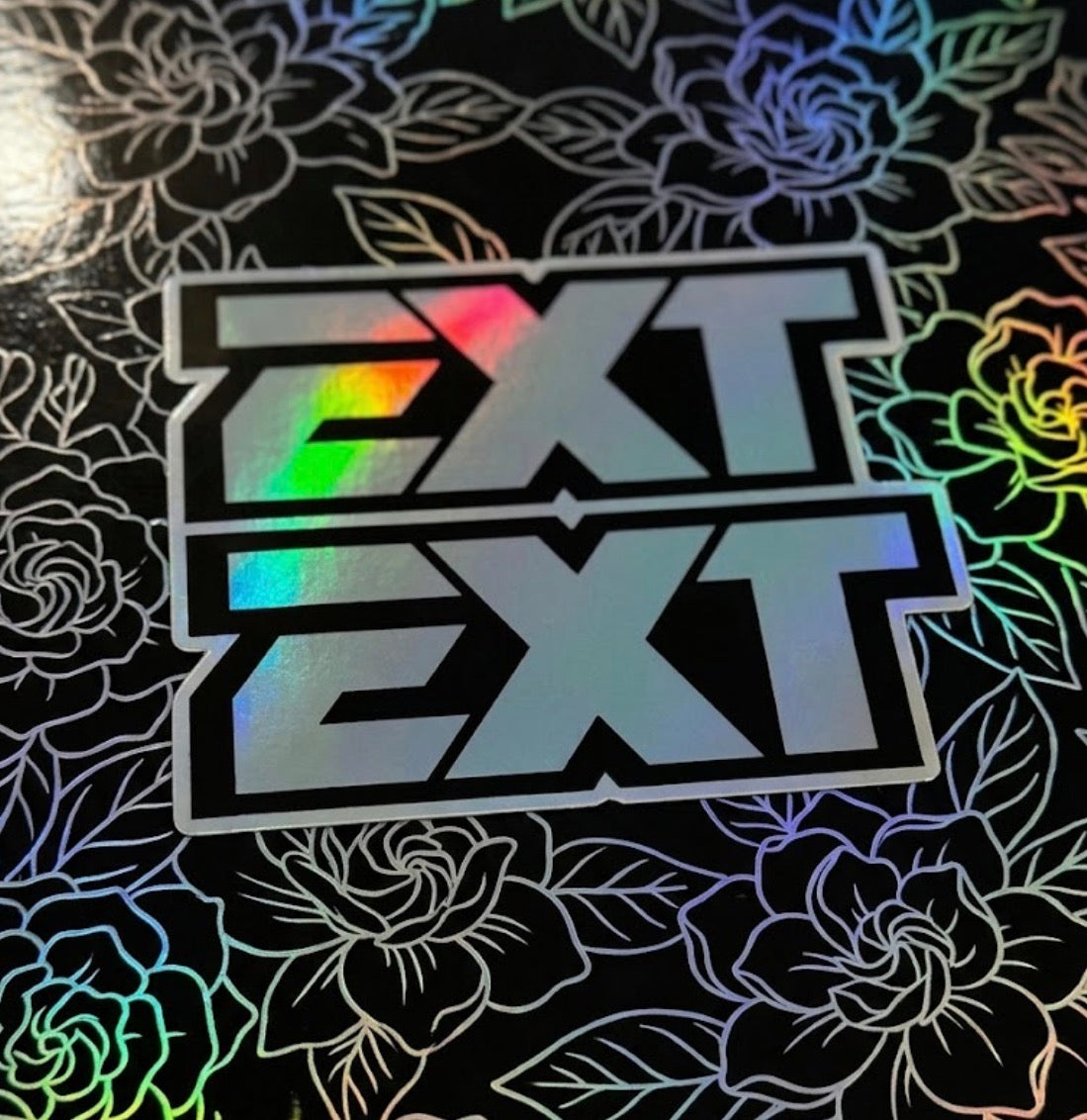 EXT fork decals (2)
